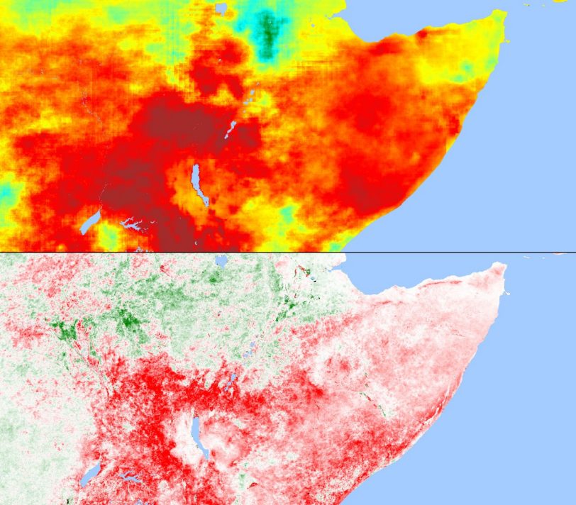 Interrelationship between rainfall anomalies (top) and the state of vegetation in Eastern Africa for the reference period June 2010-June 2016 and the comparison period June 2016-June 2017.